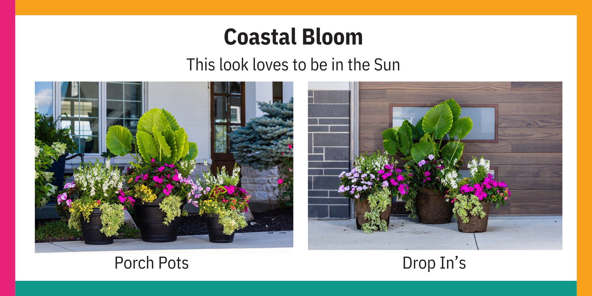Coastal Bloom Sun Collection