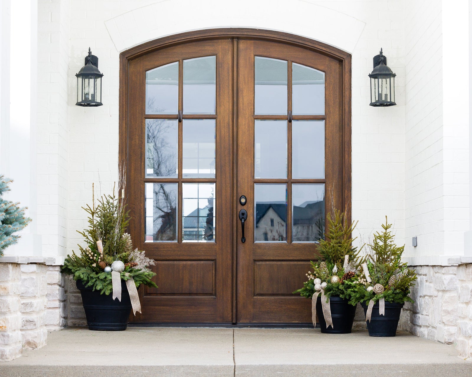 Winter Frosted Forest Collection