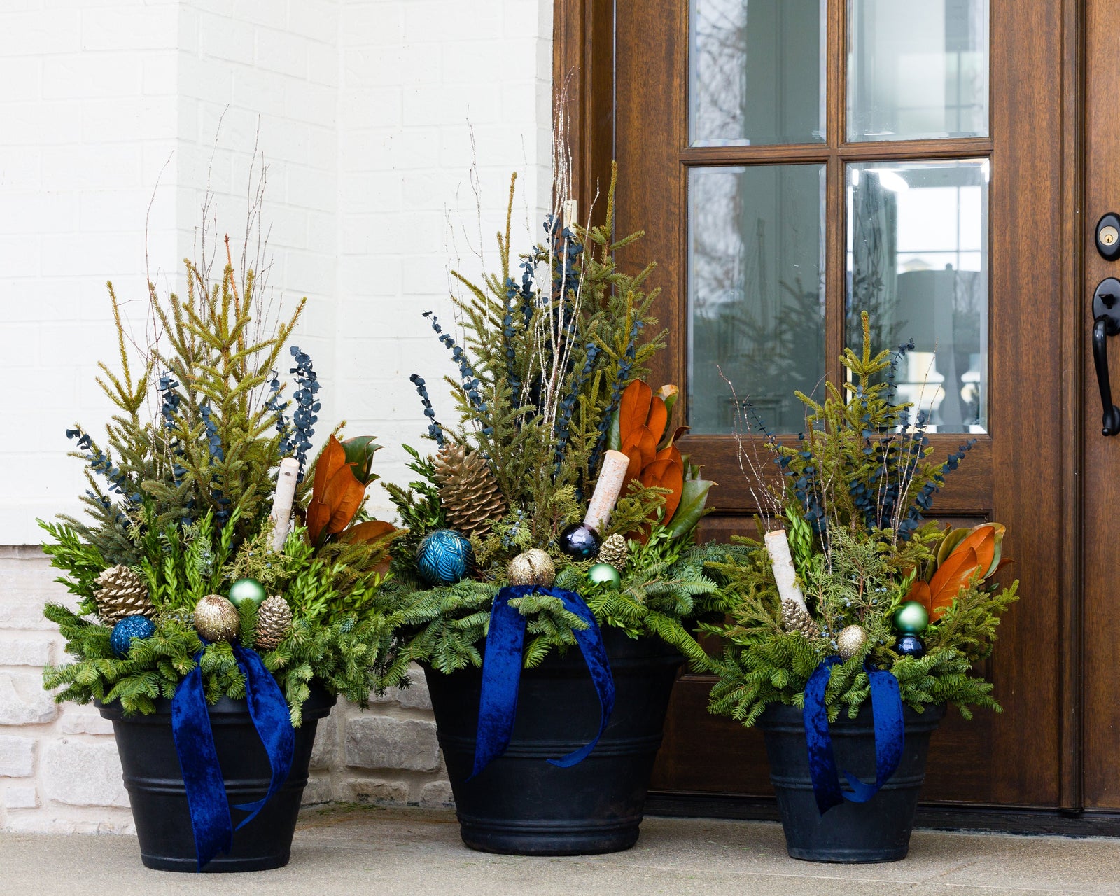 Winter Alpine Glow Collection