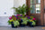 Porch Pots Collection - Spring
