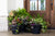 Porch Pots Collection - Spring