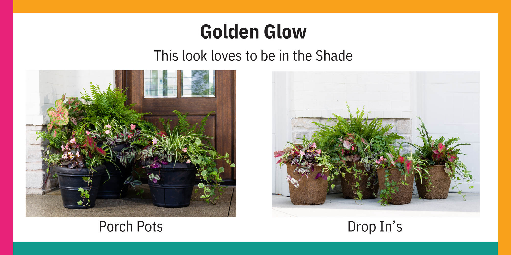 Golden Glow Shade Collection