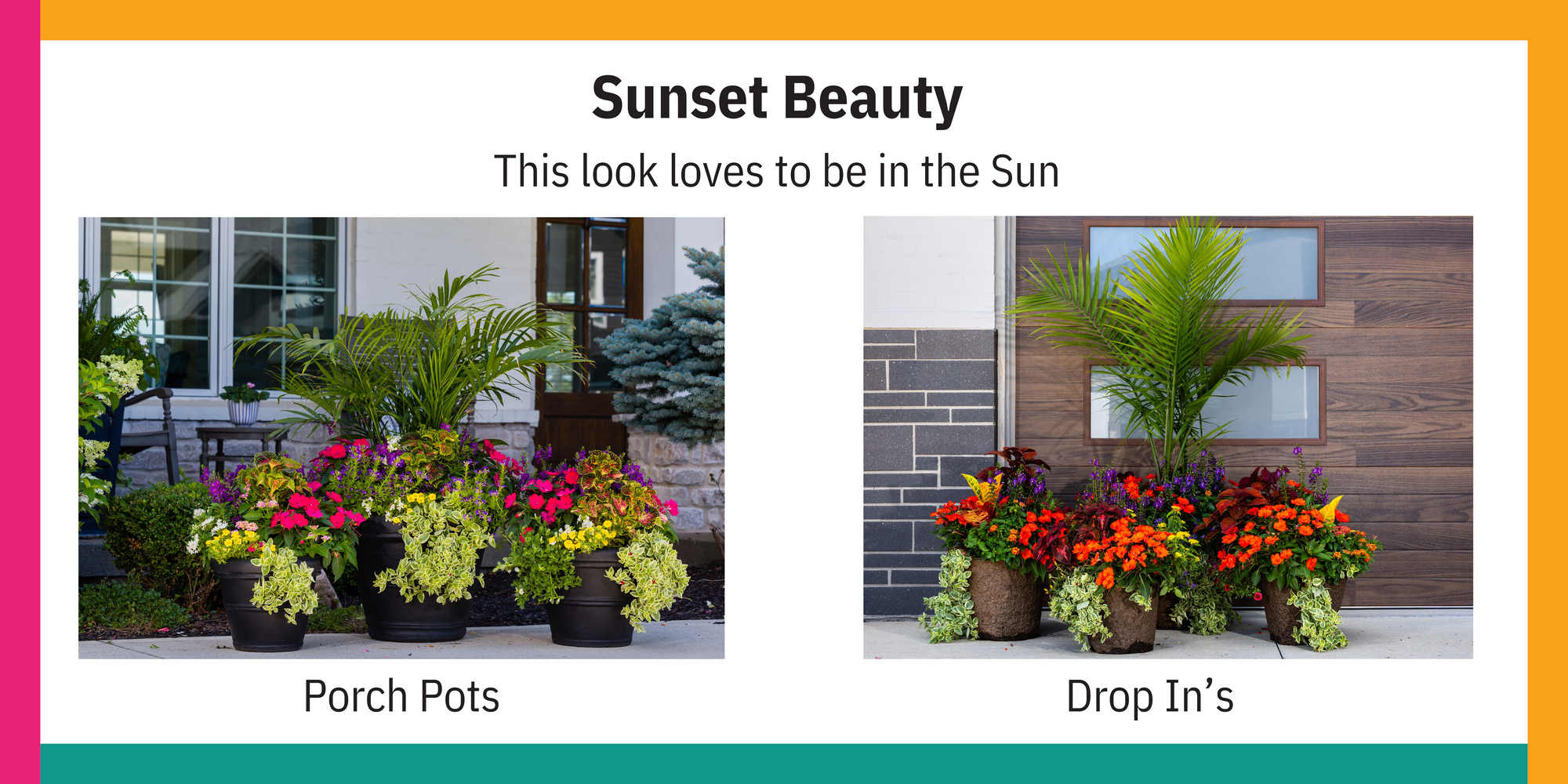 Sunset Beauty Sun Collection