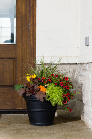 Pumpkin Patch - Small Porch Pot