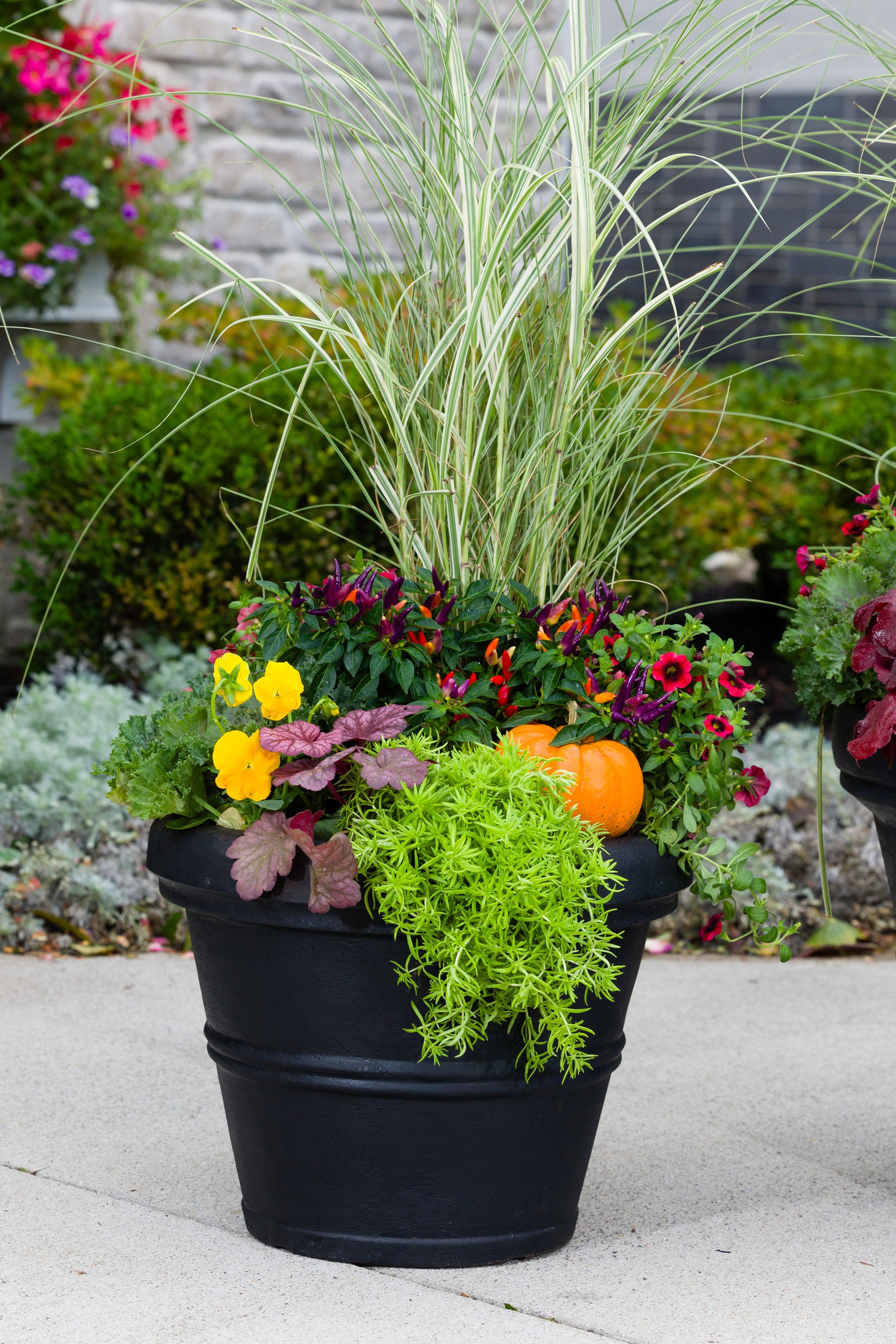 Pumpkin Patch - Medium Porch Pot