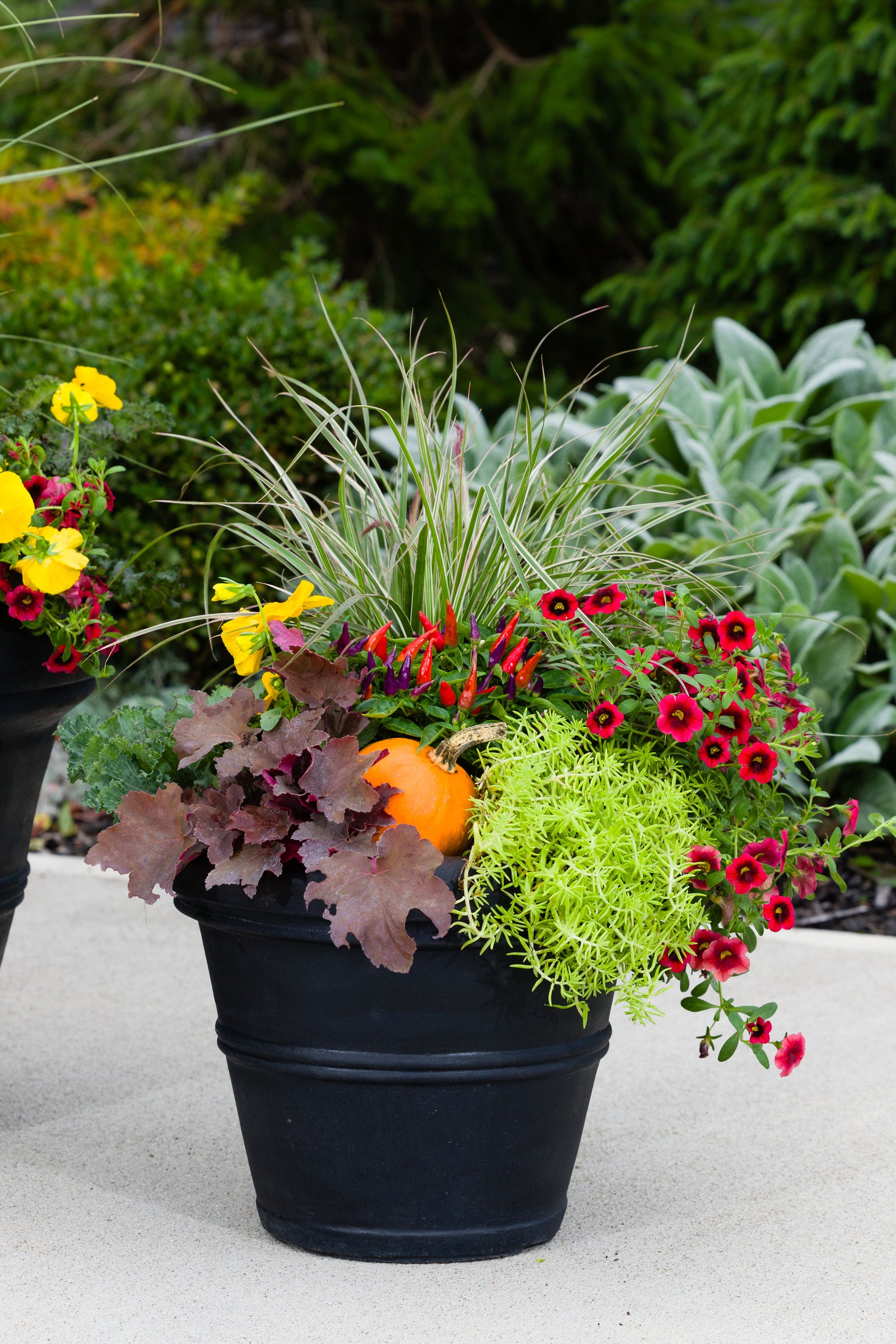 Pumpkin Patch - Small Porch Pot