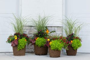 Pumpkin Patch - Drop In Your Container Large Round