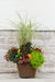 Pumpkin Patch - Drop In Your Container Medium Square
