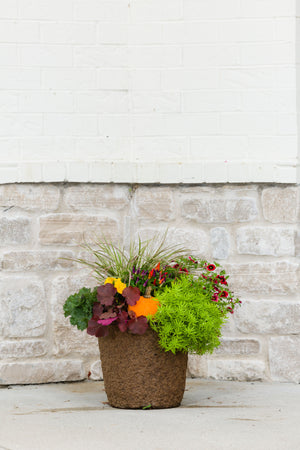 Pumpkin Patch - Drop In Your Container Small Round