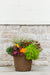Pumpkin Patch - Drop In Your Container Small Round