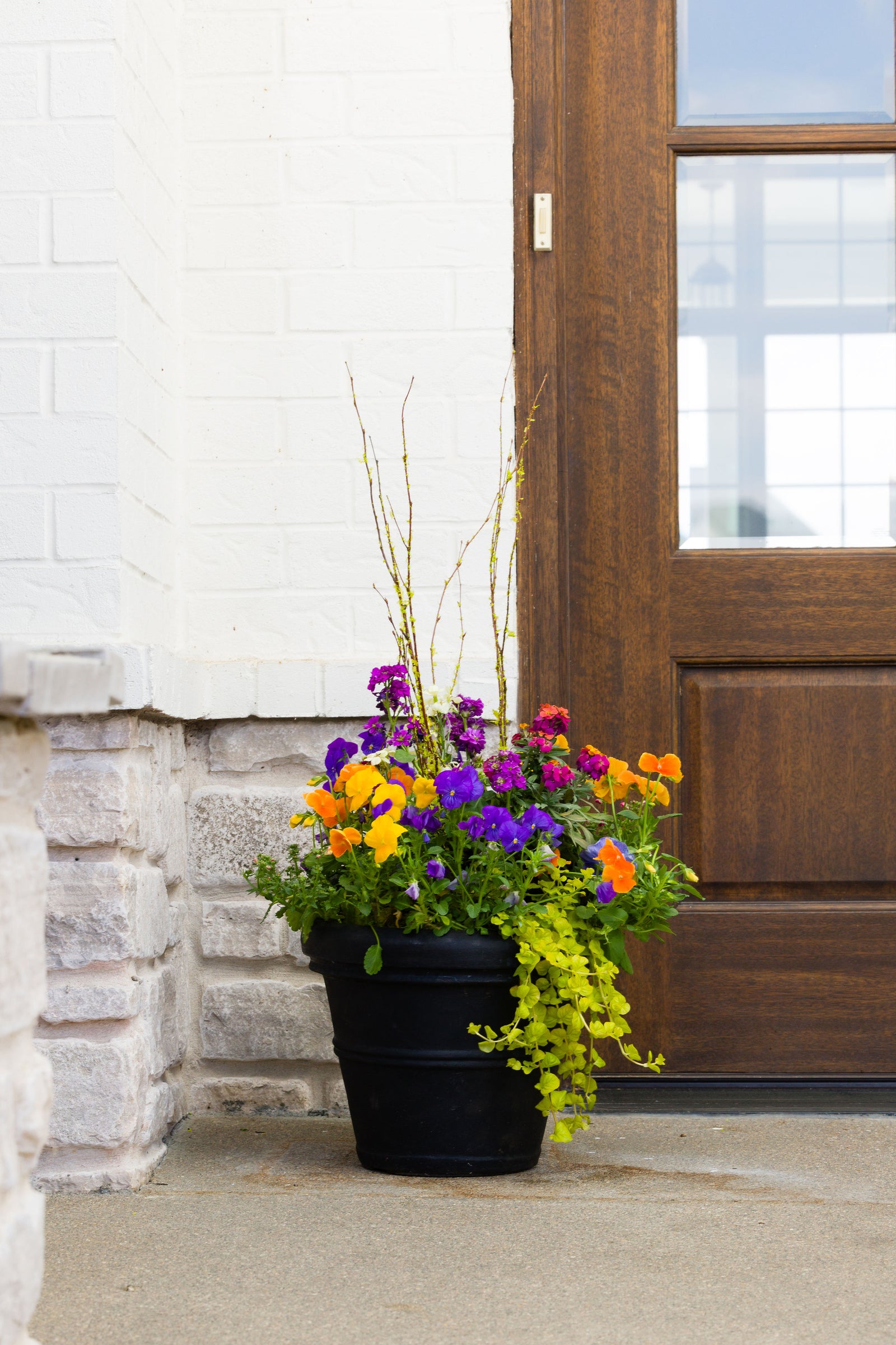 Orange Crush - Small Porch Pot