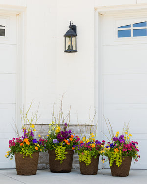 Orange Crush - Medium Square Drop In