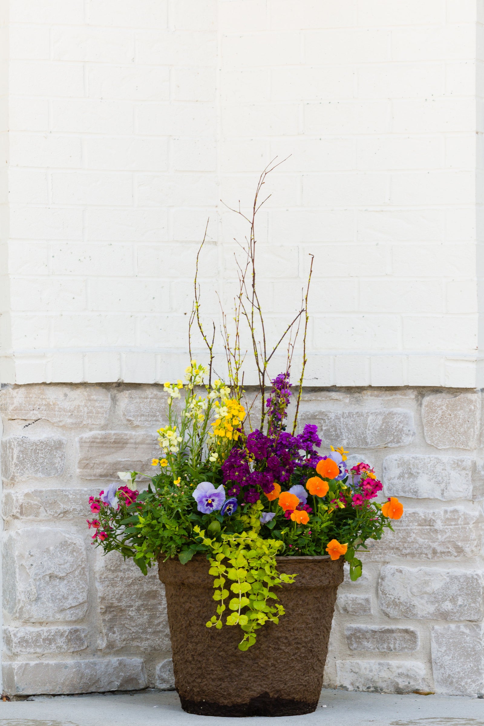 Orange Crush - Large Round Drop In