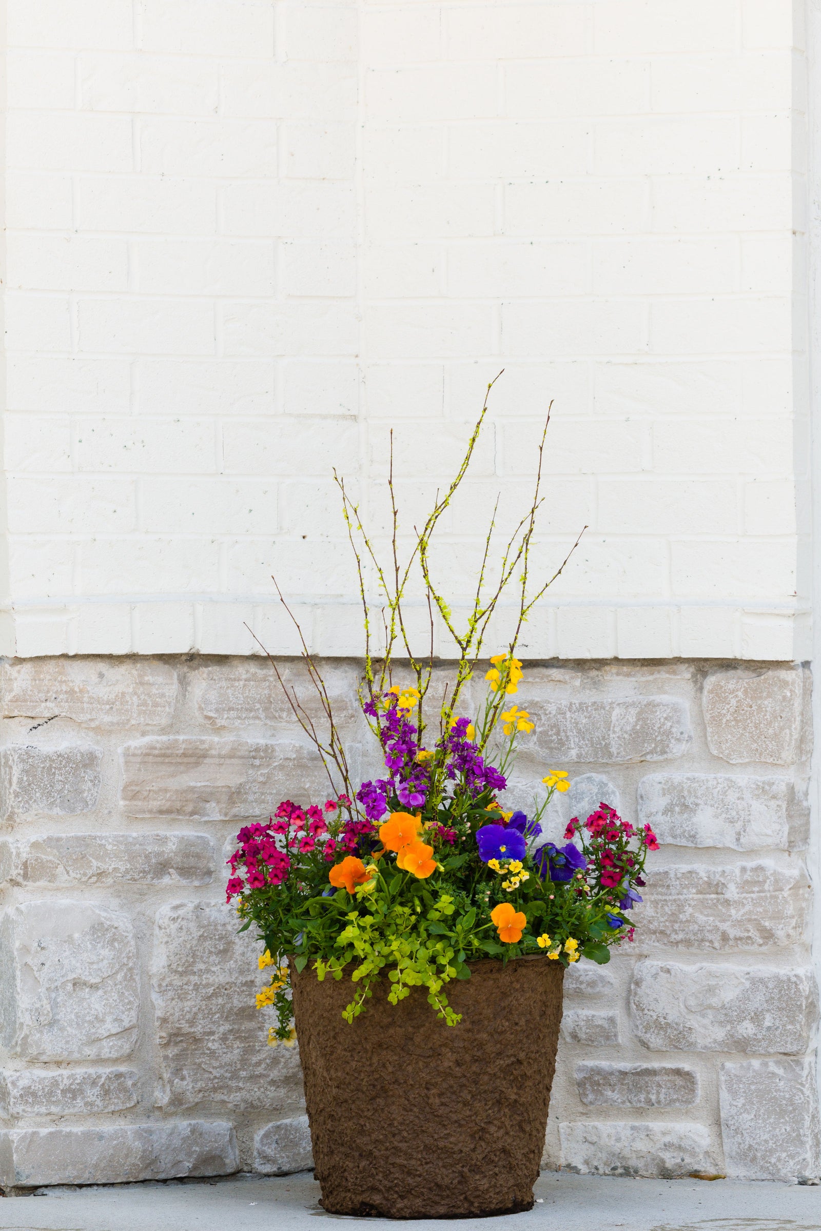 Orange Crush - Medium Round Drop In