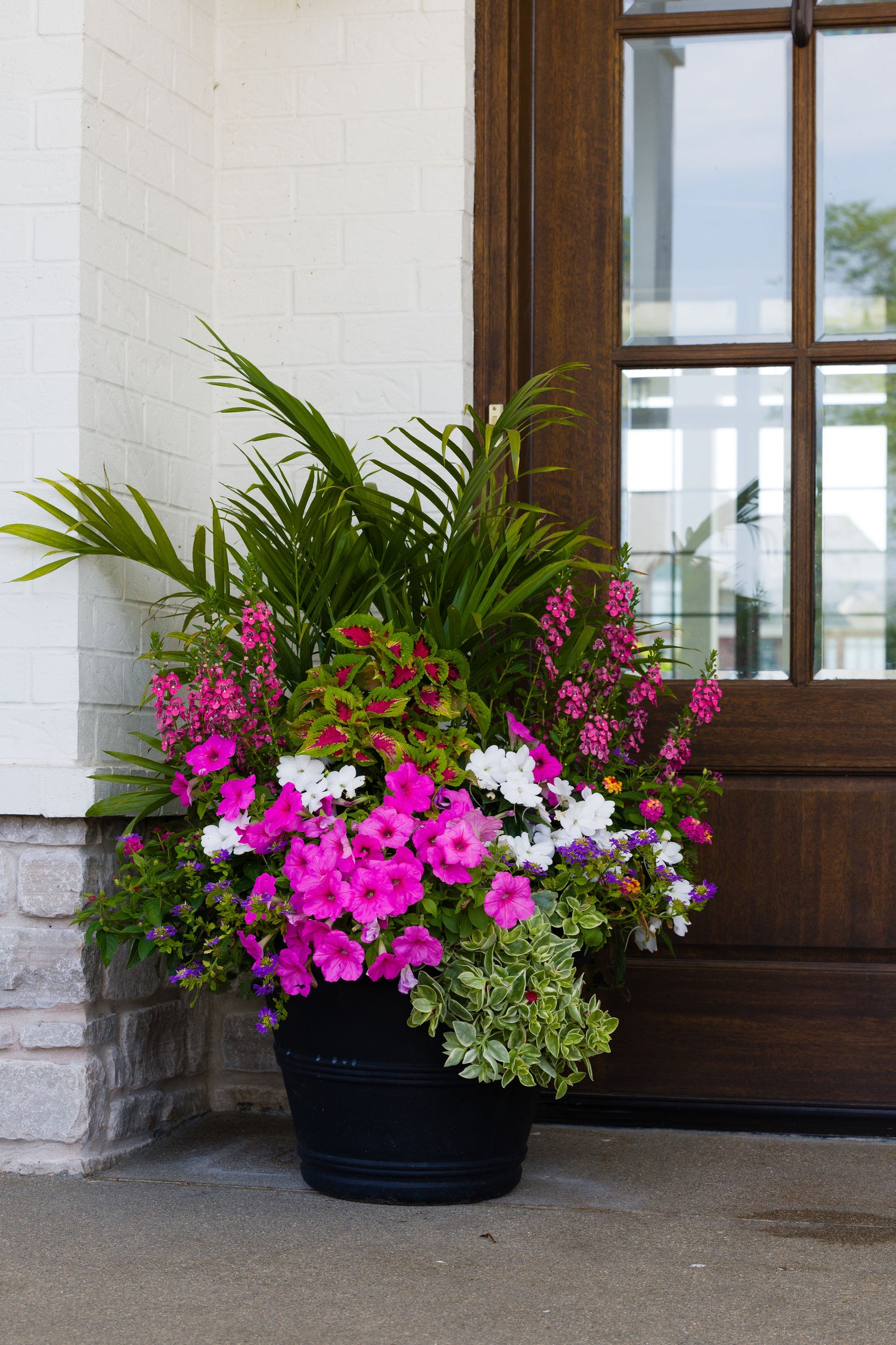 Island Delight - Large Porch Pot (Sun)