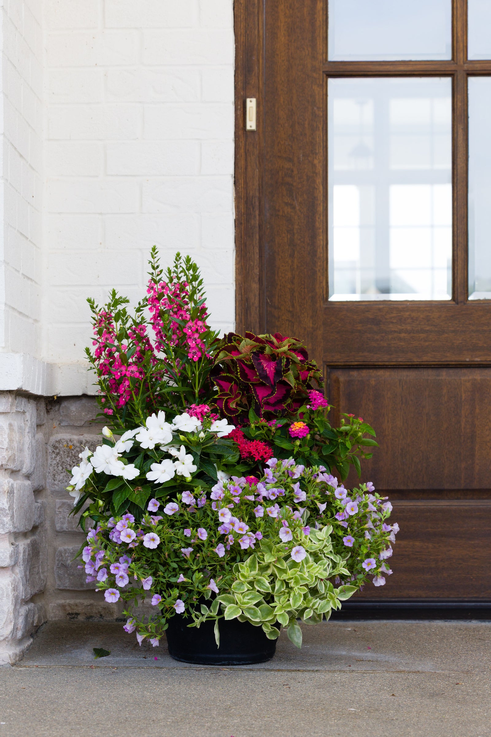 Island Delight - Medium Porch Pot (Sun)