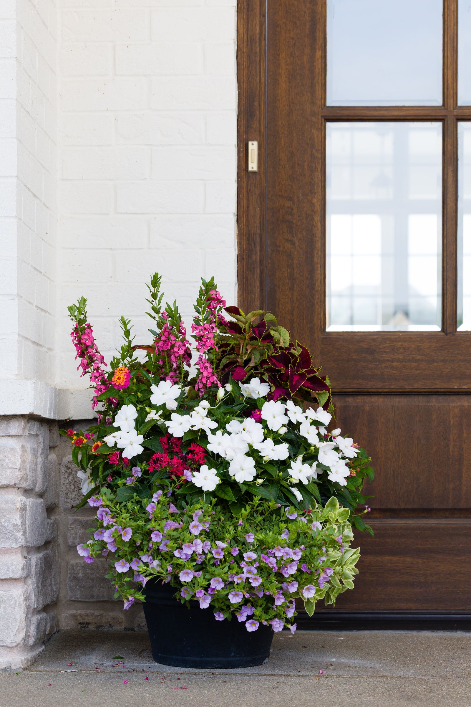 Island Delight - Small Porch Pot (Sun)