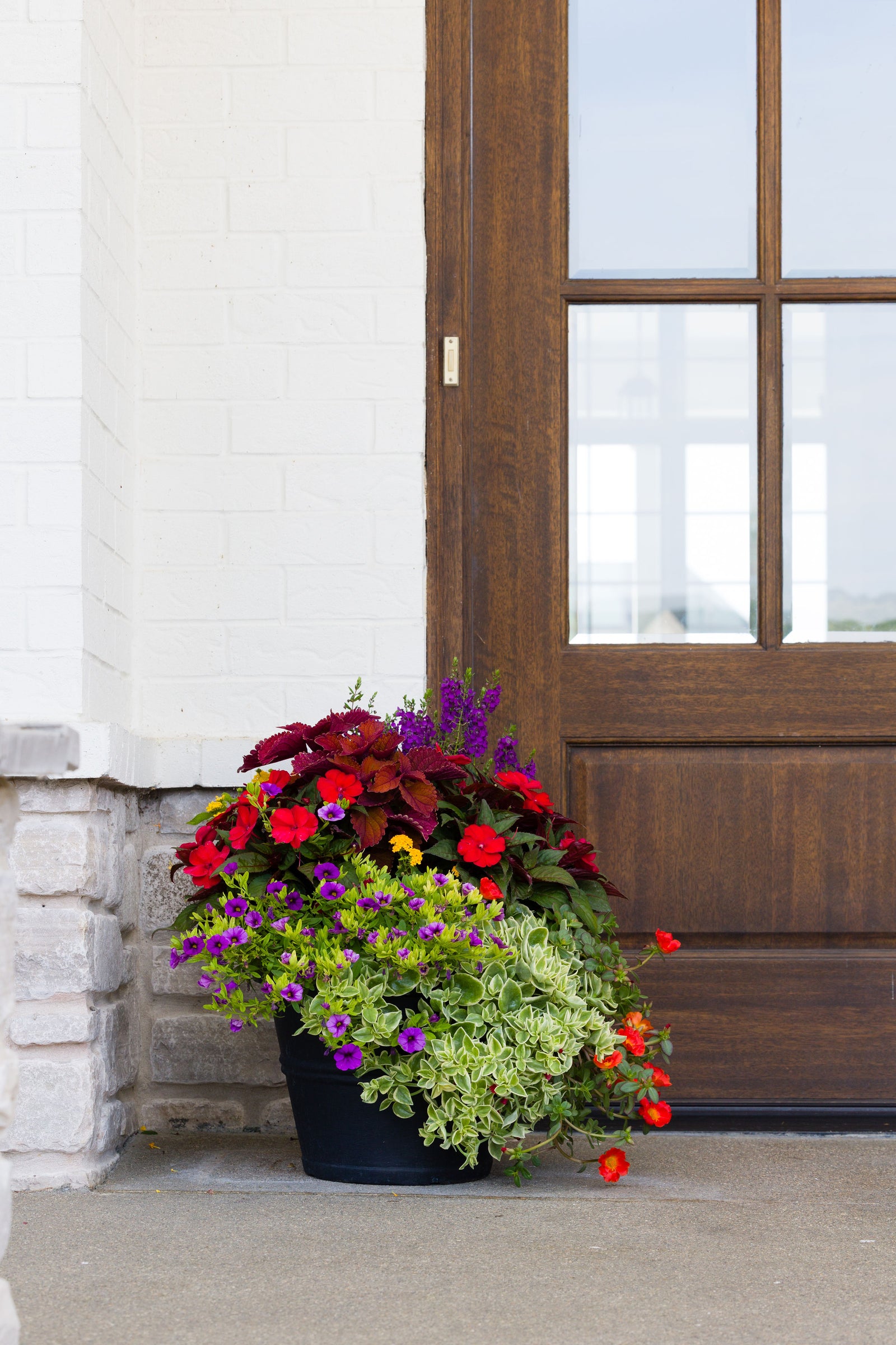 Tropical Breeze - Medium Porch Pot (Sun)