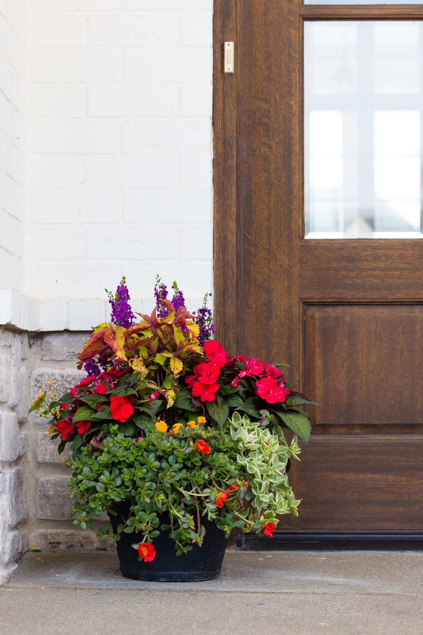 Tropical Breeze - Small Porch Pot (Sun)