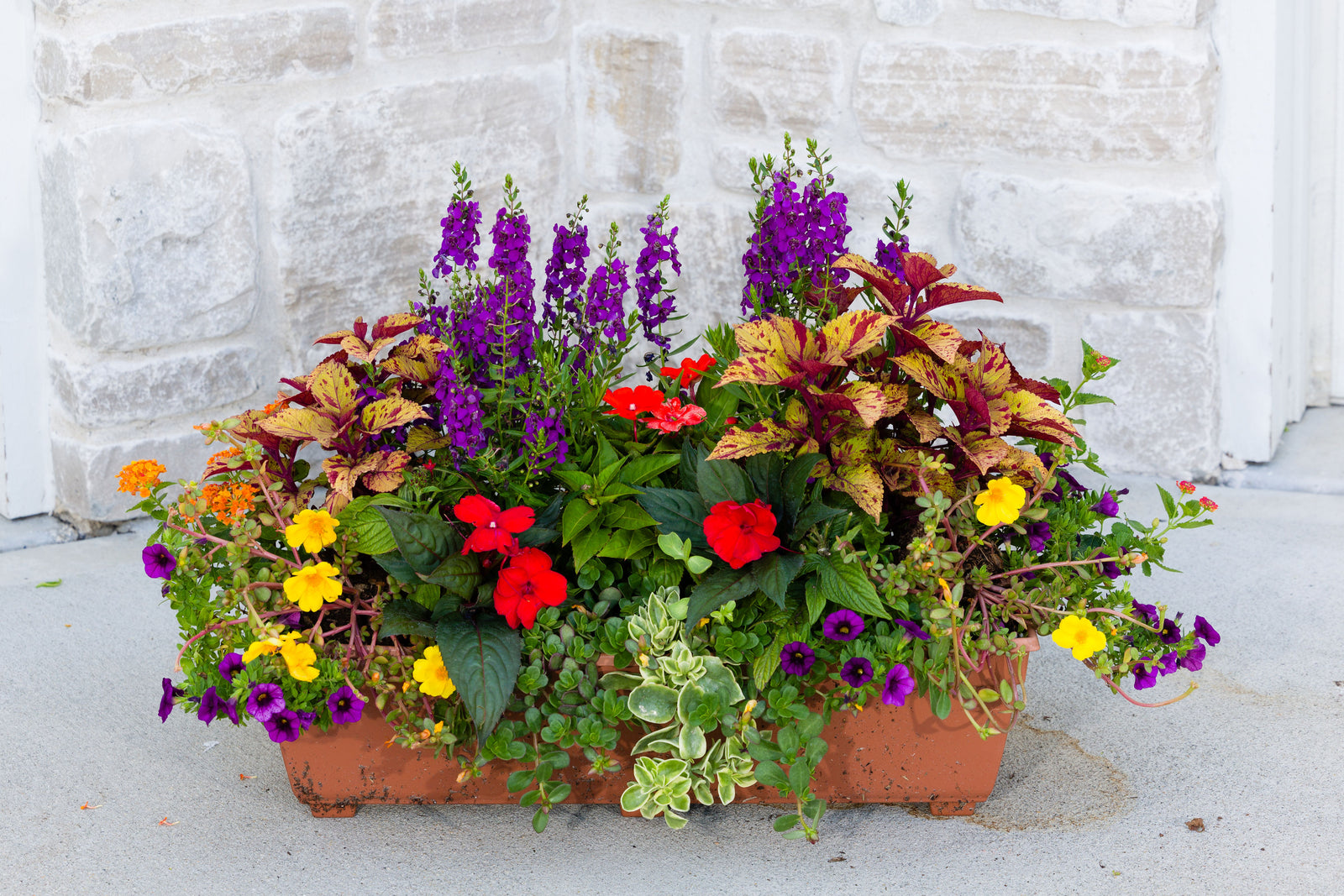 Windowbox Drop In - Large