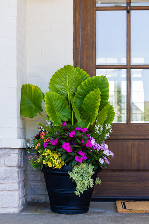 Coastal Bloom (Sun) - Large Porch Pot