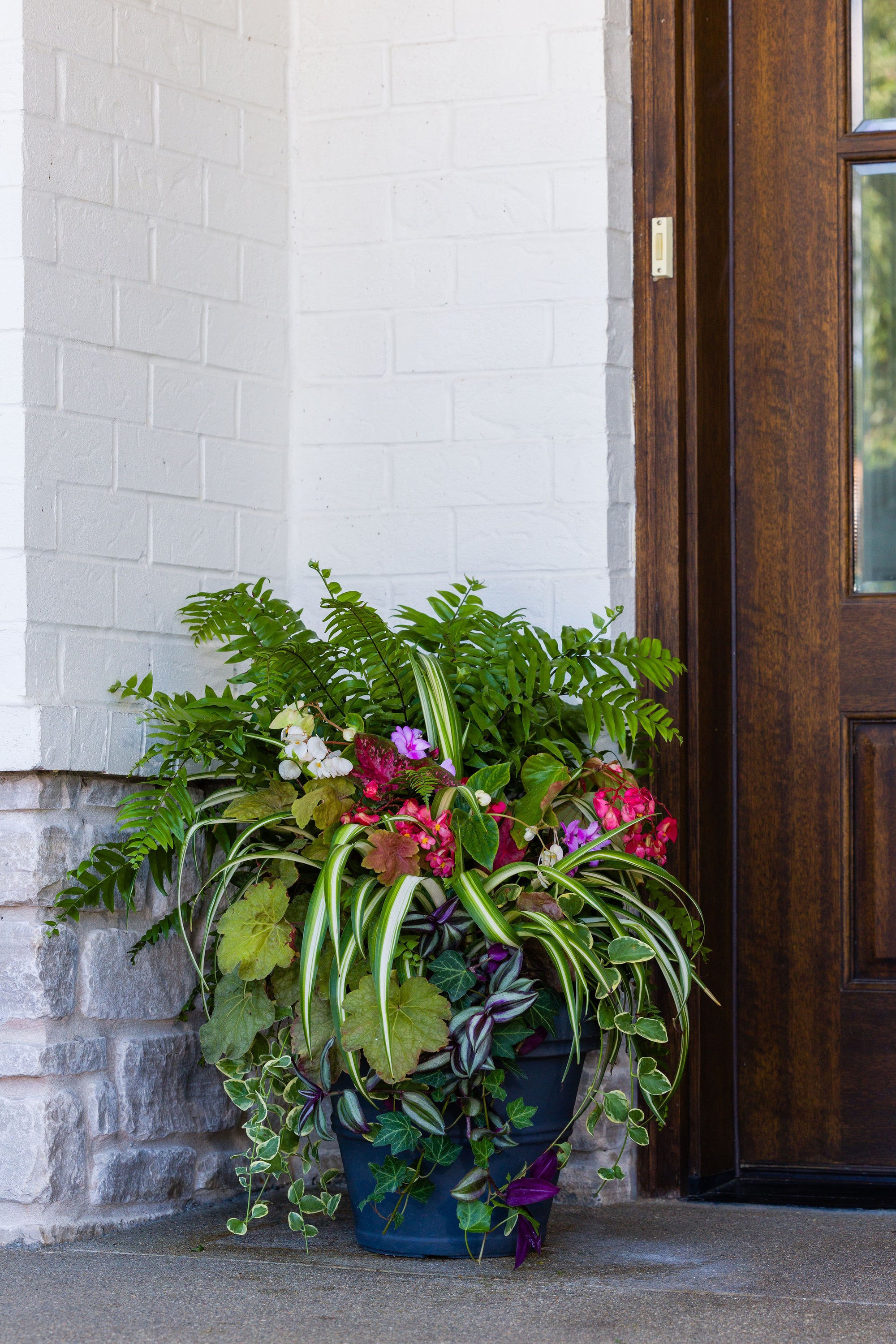 Golden Glow (Shade/Part Sun) - Medium Porch Pot