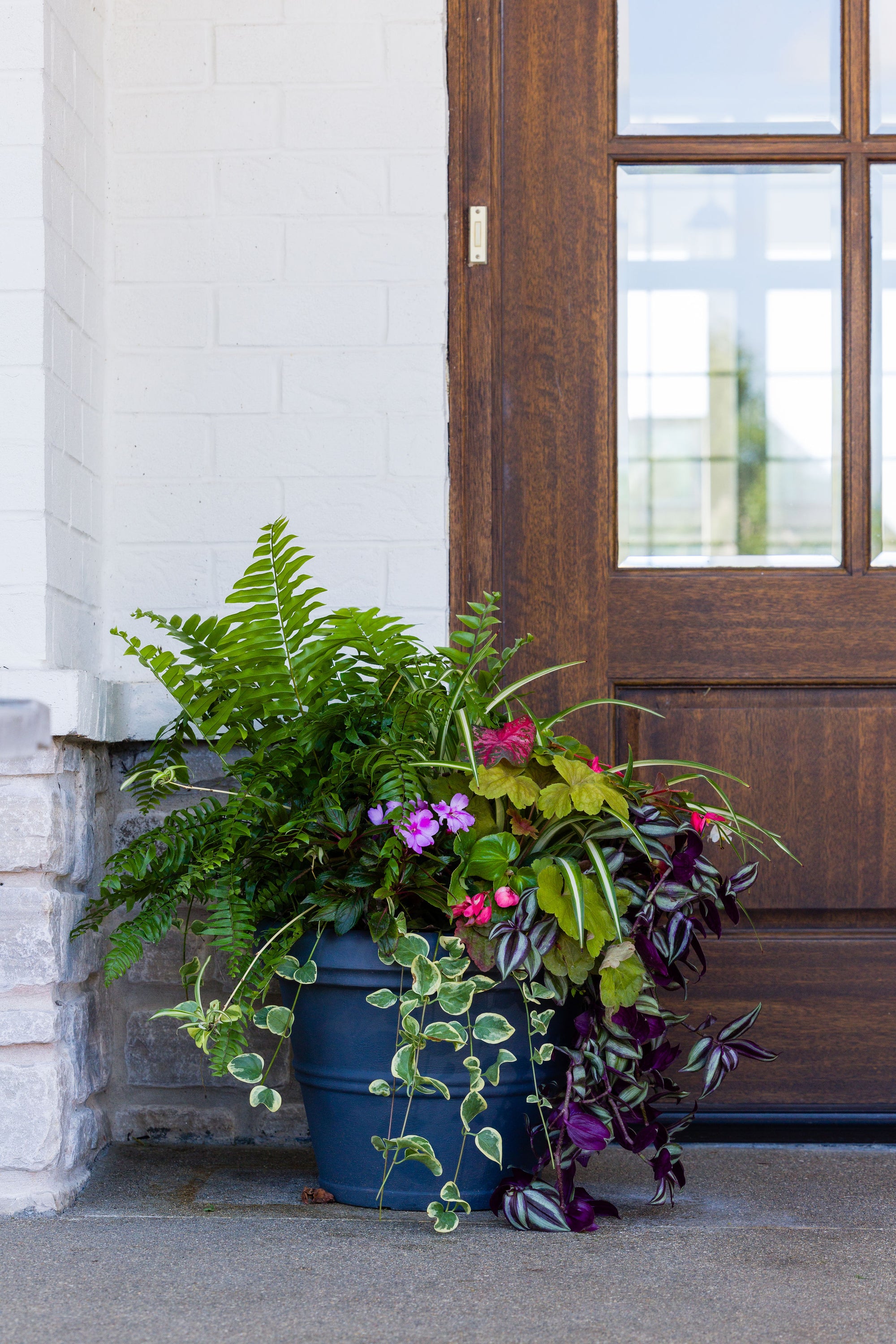 Golden Glow (Shade/Part Sun) - Small Porch Pot