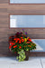 Sunset Beauty (Sun) - Drop In Your Container Medium Square