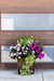 Coastal Bloom (Sun) - Drop In Your Container Medium Round