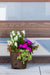 Coastal Bloom (Sun) - Drop In Your Container Small Round