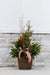 Mistletoe Magic - Small Round Drop In
