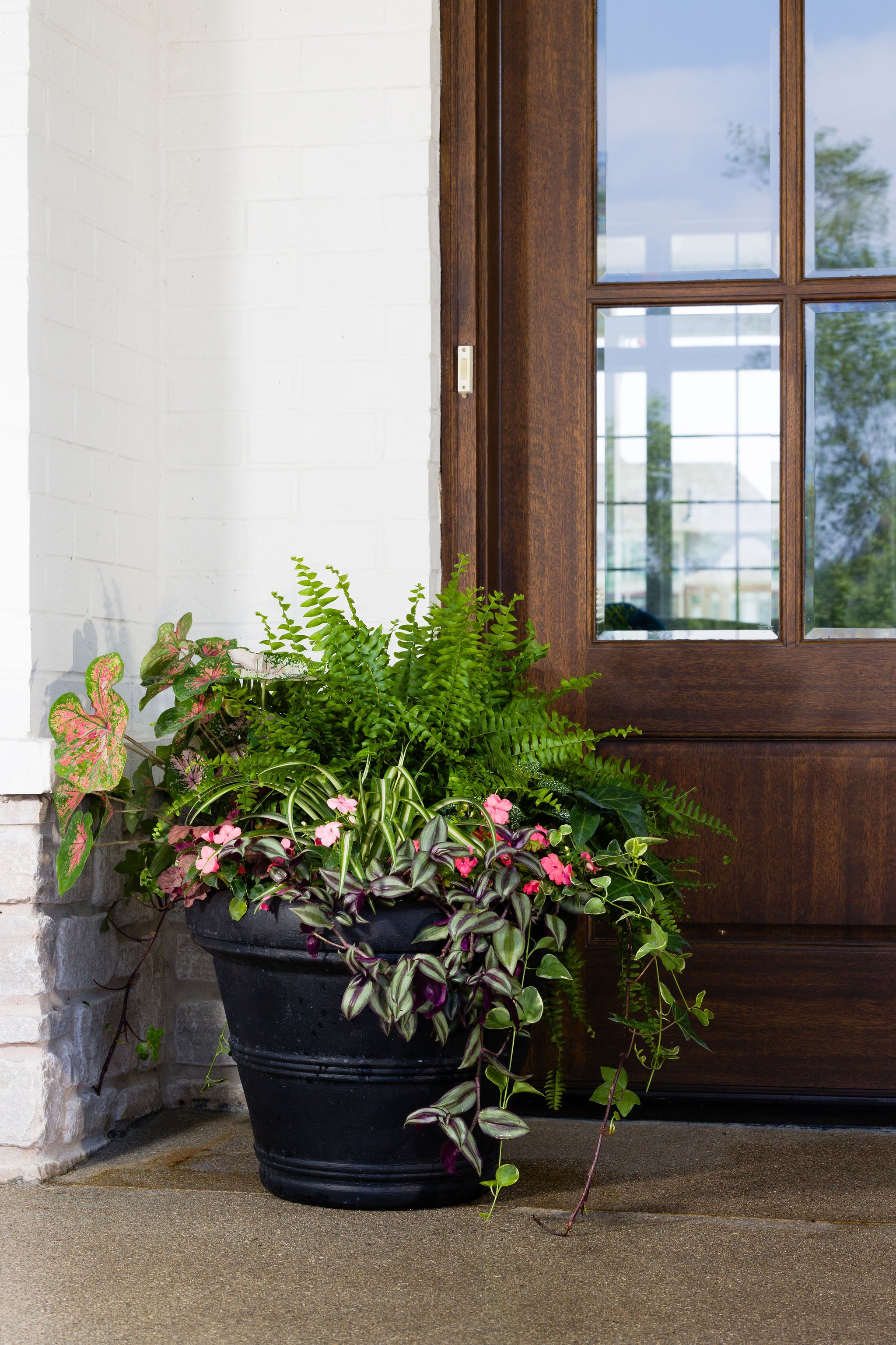 large plants for pots in sun Golden Oasis - Large Porch Pot (Shade to Part Sun)