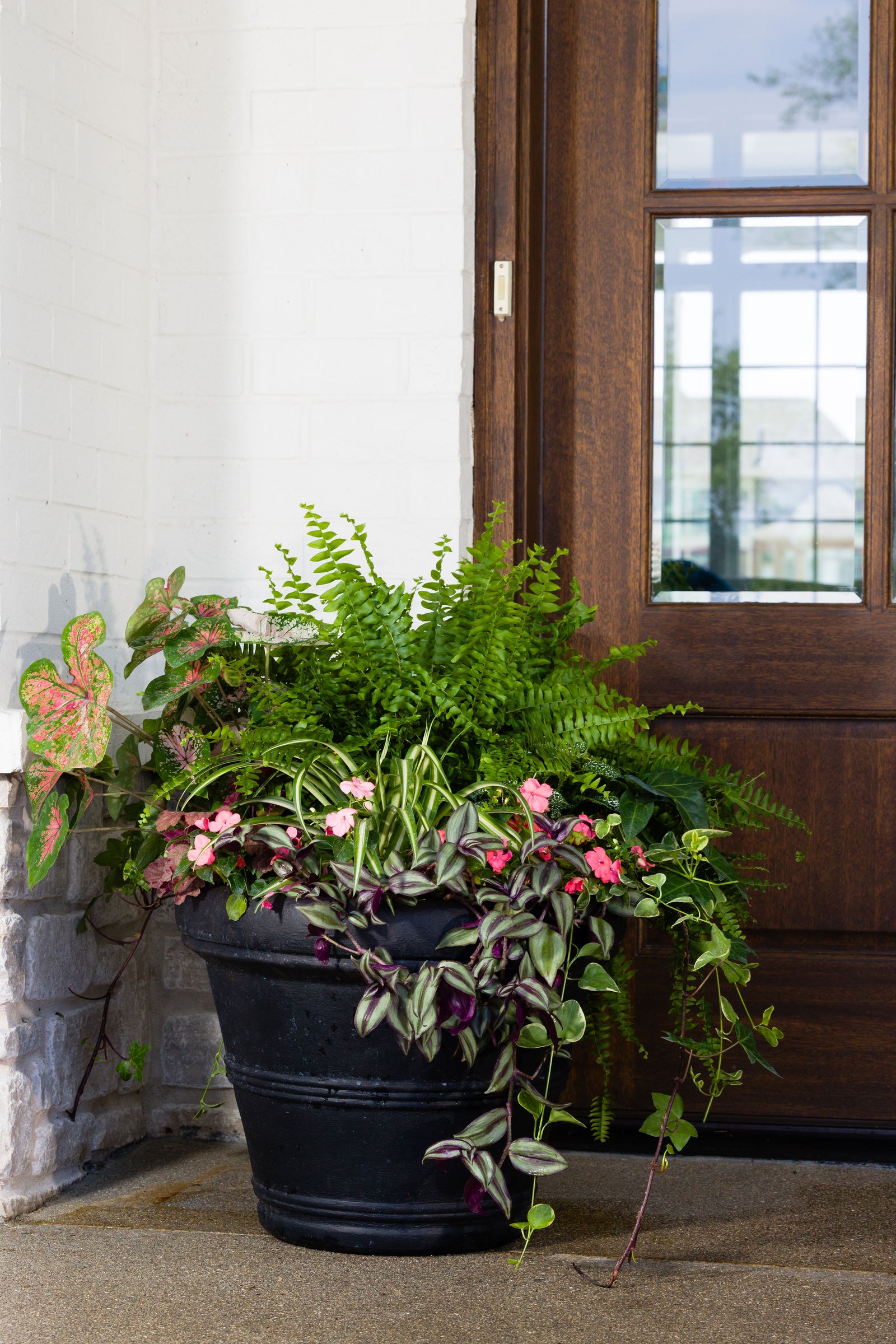 Golden Oasis - Large Porch Pot (Shade to Part Sun)