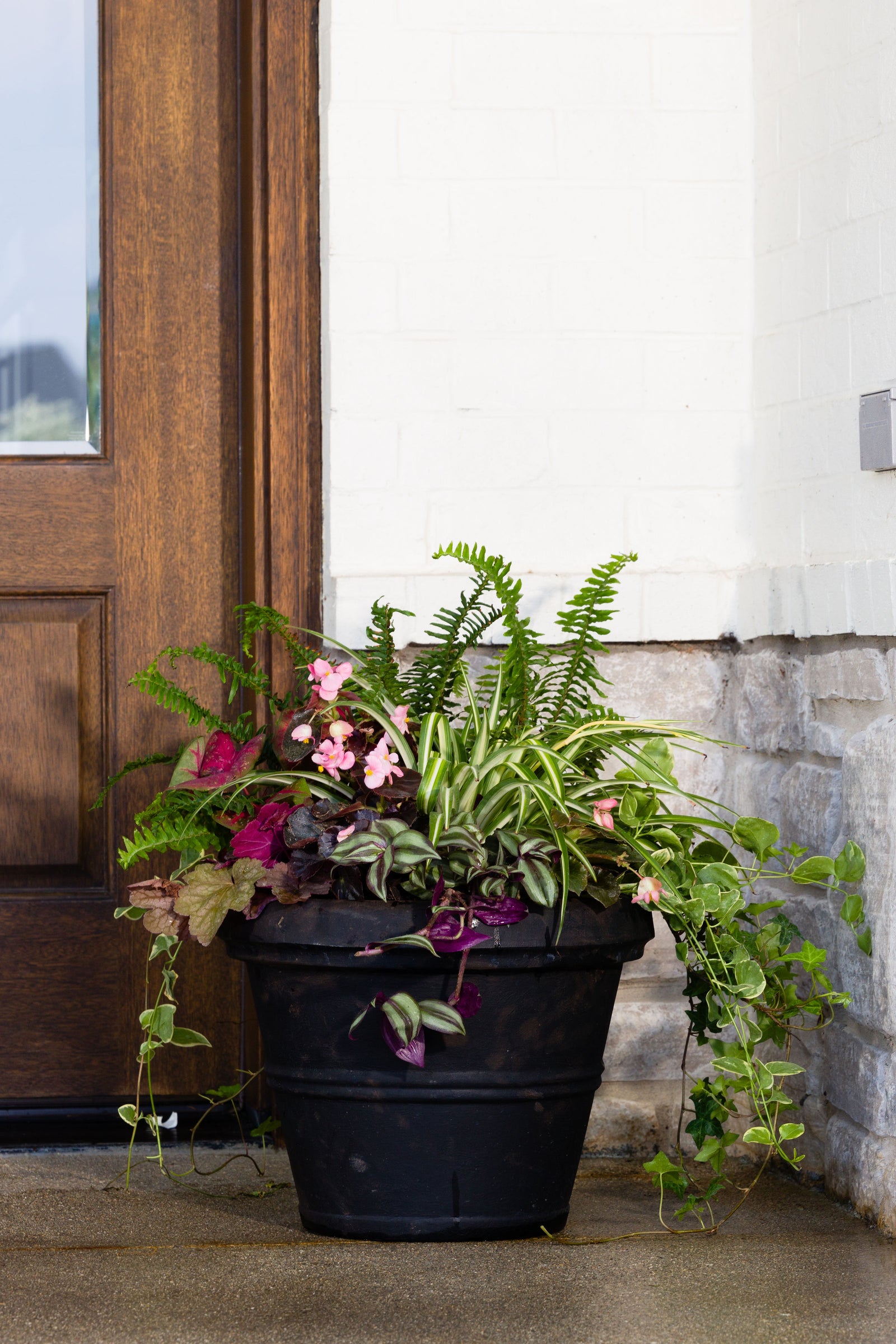Golden Oasis - Medium Porch Pot (Shade to Part Sun)