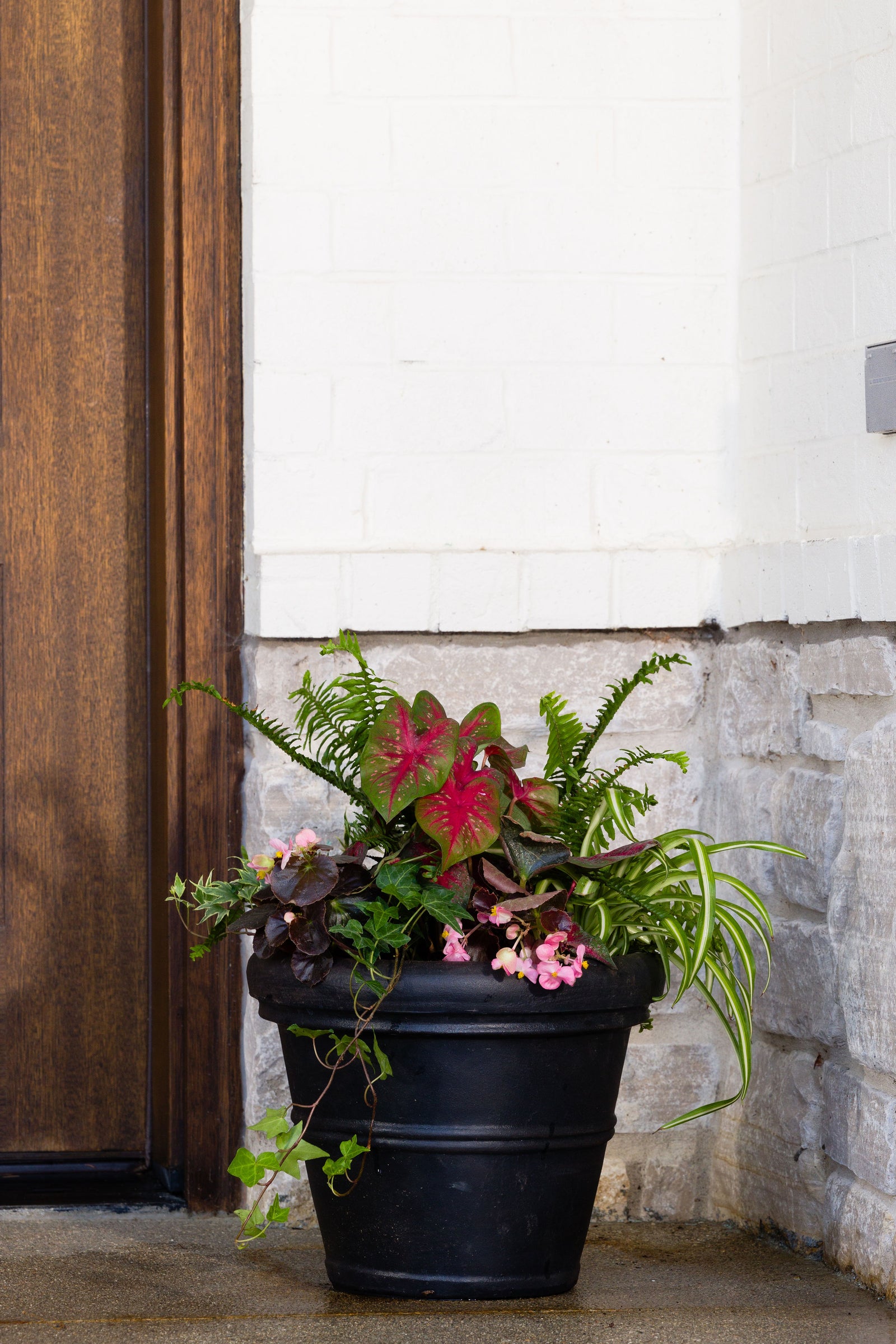Golden Oasis - Small Porch Pot (Shade to Part Sun)