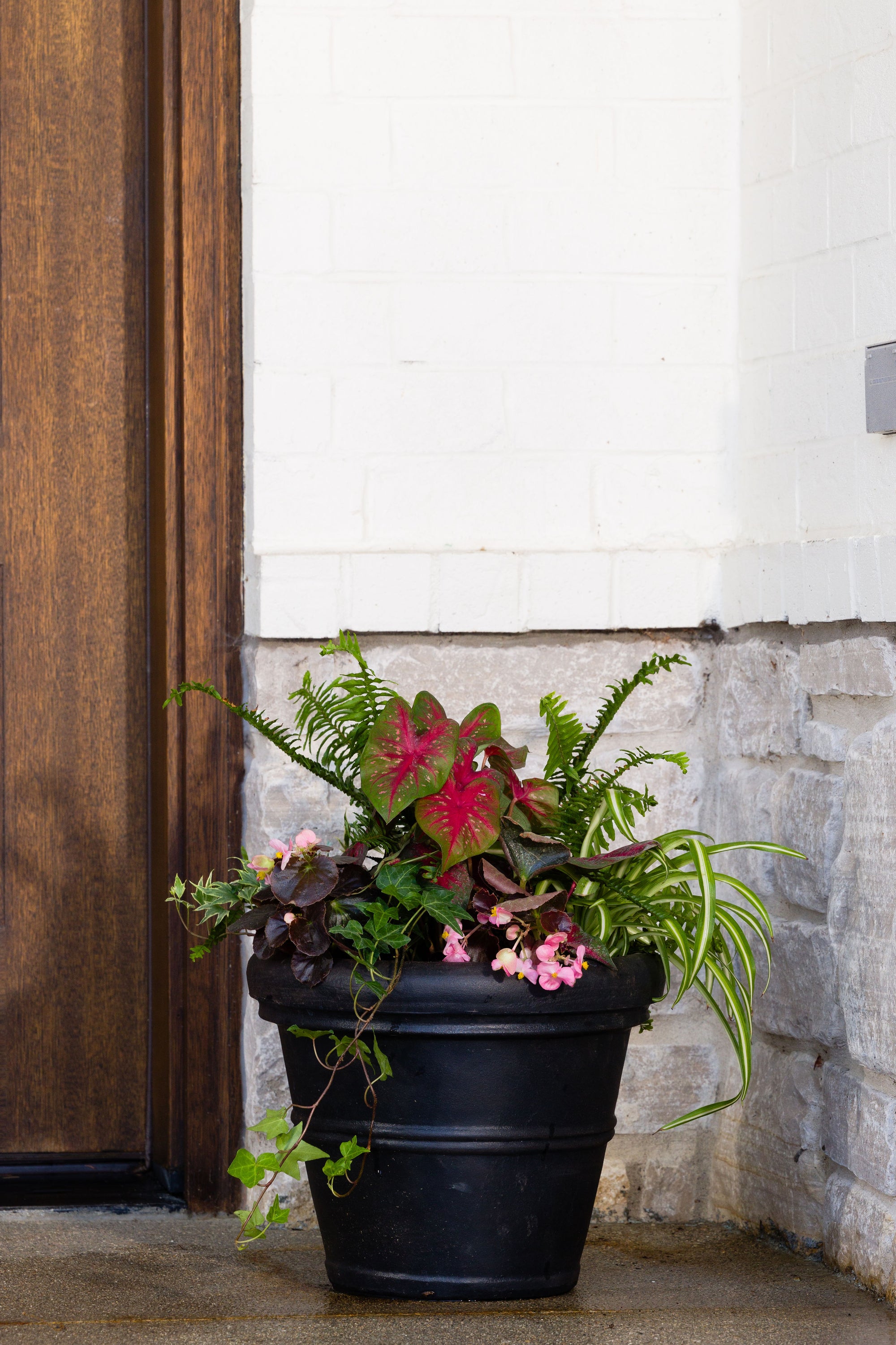 Golden Oasis Collection - Shade to Part Sun - Porch Pots Direct