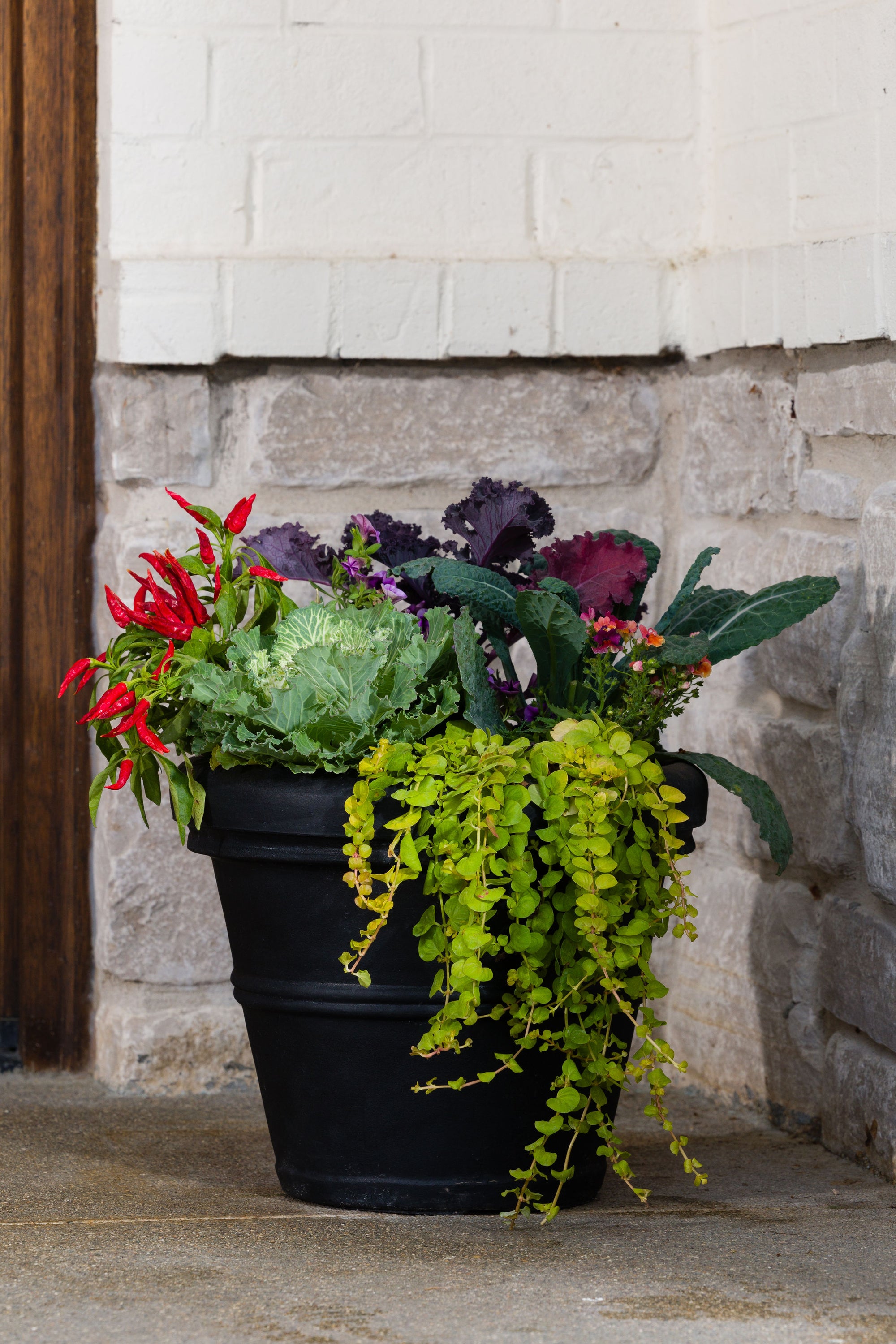 Autumn Whirl - Small Porch Pot