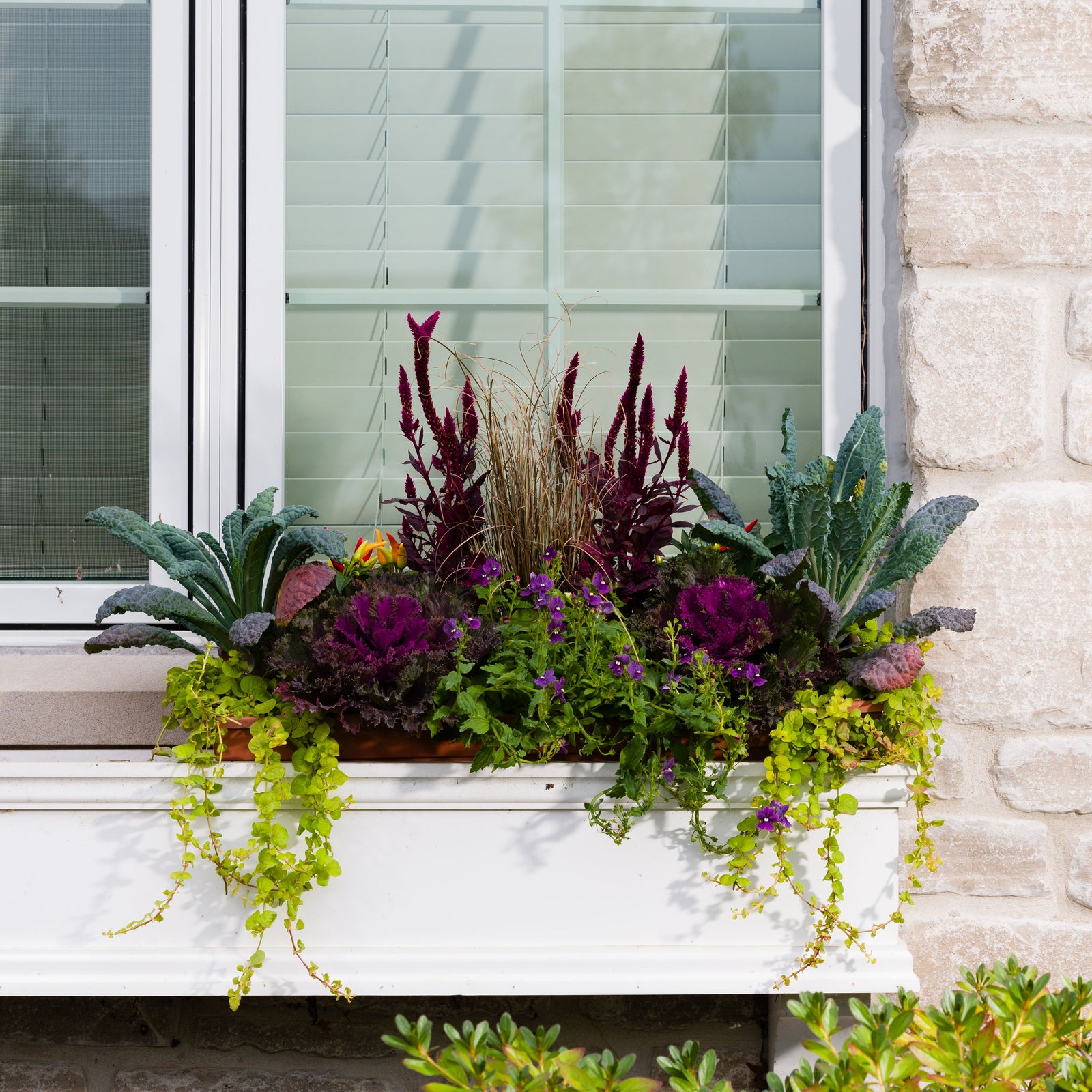 Windowbox Drop In - Large