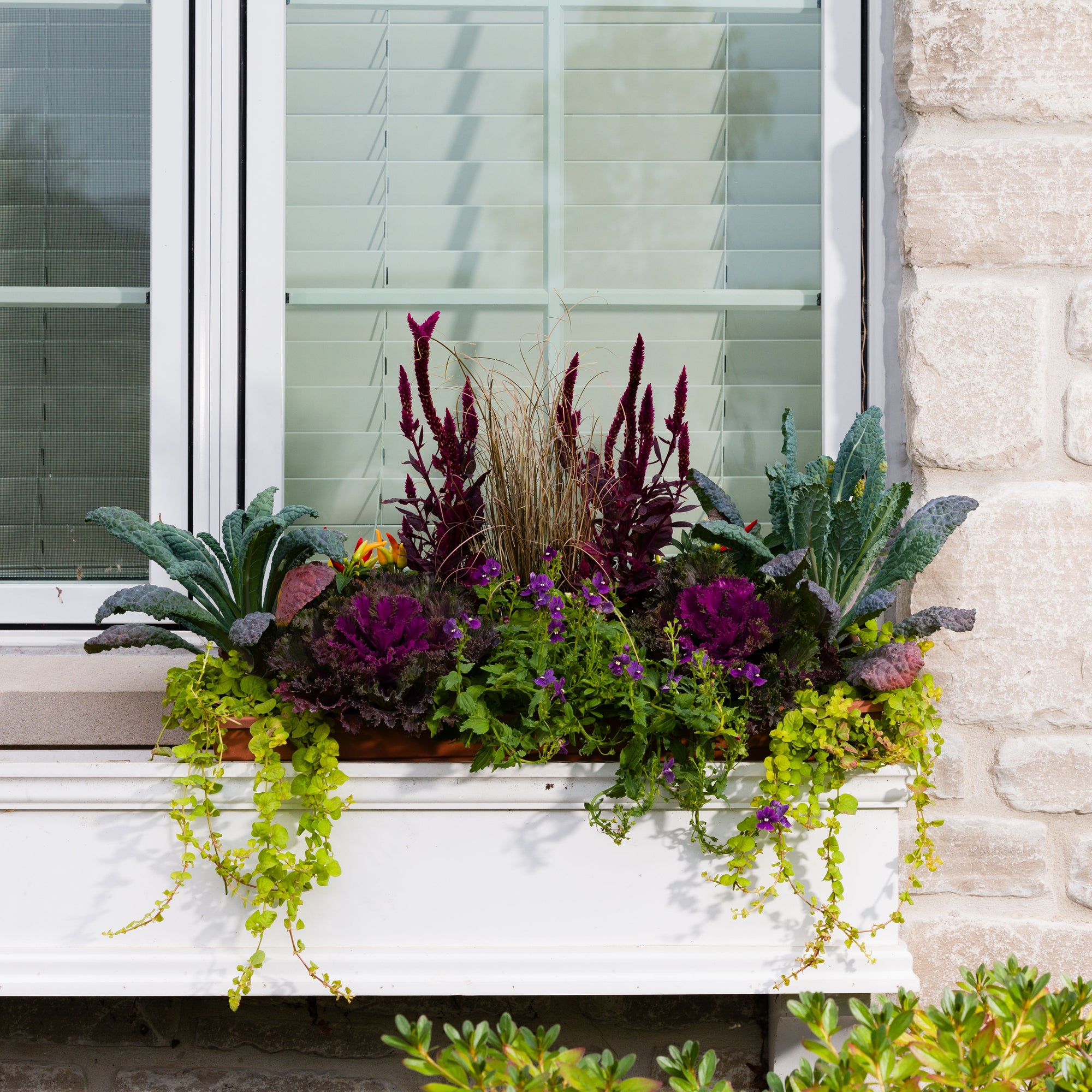 Windowbox Drop In Large - Designer's Choice (36" long x 8" wide)