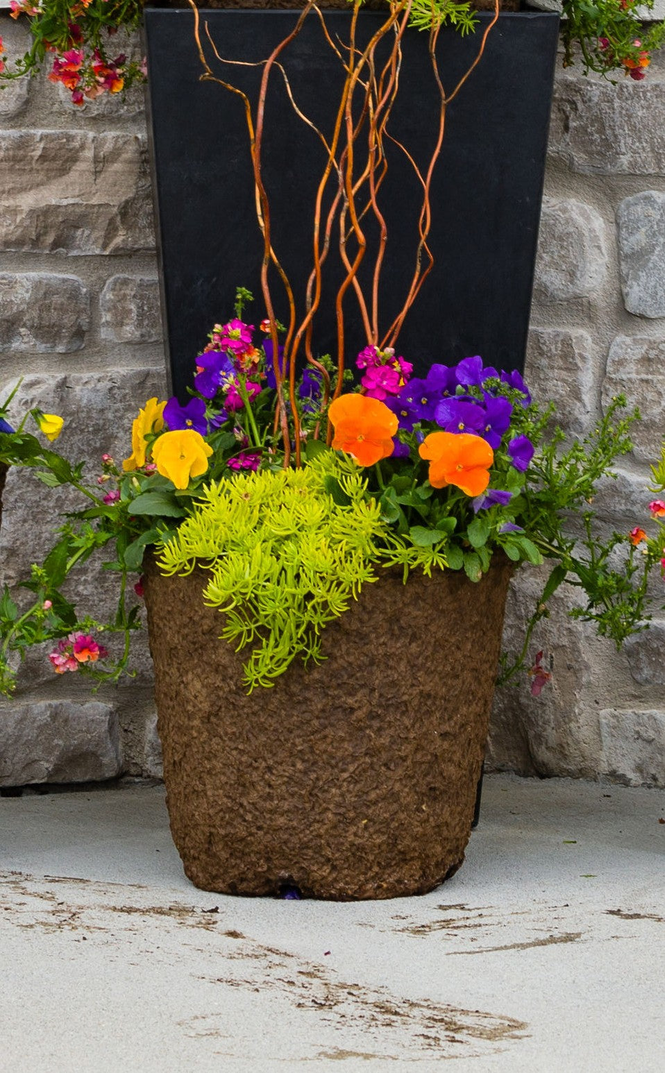 Sunny Days - Small Round Drop In