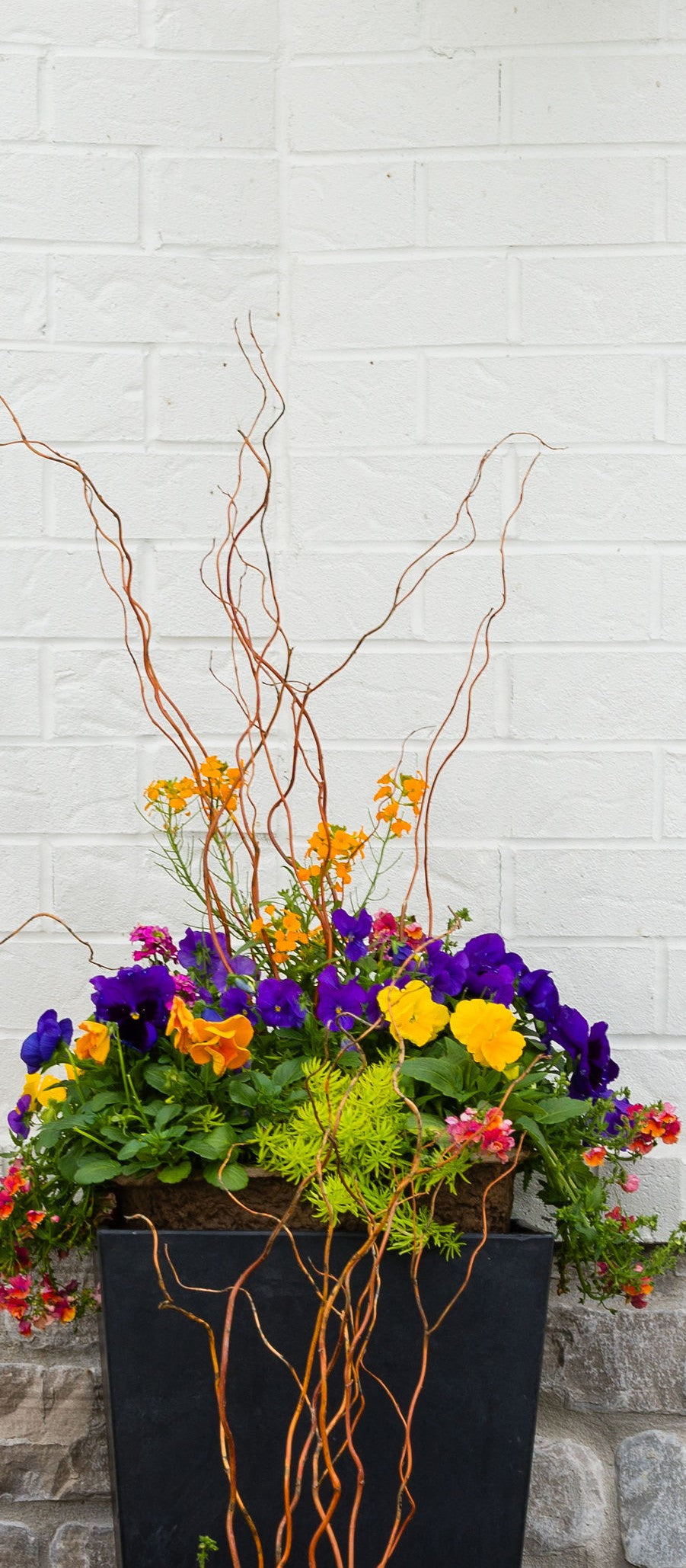 Sunny Days - Medium Square Drop In