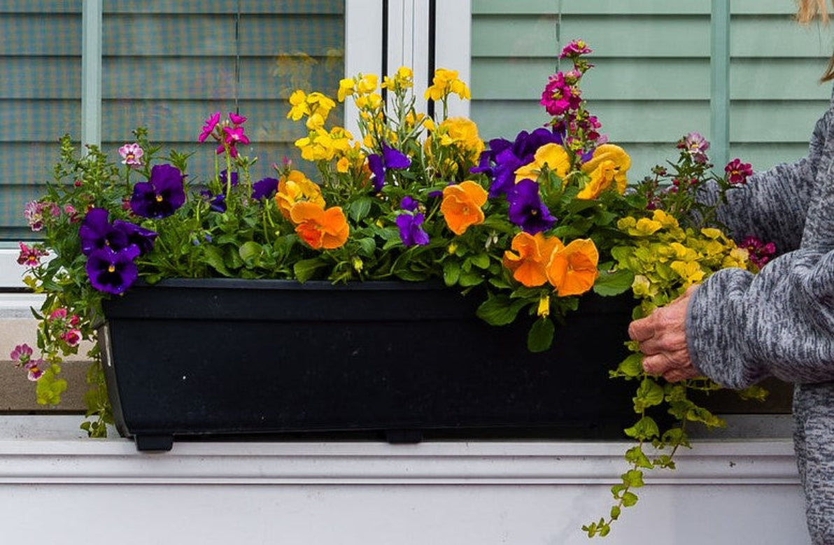 Windowbox Drop In - Large