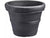 Golden Glow (Shade/Part Sun) - Large Porch Pot