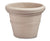 Golden Glow (Shade/Part Sun) - Large Porch Pot